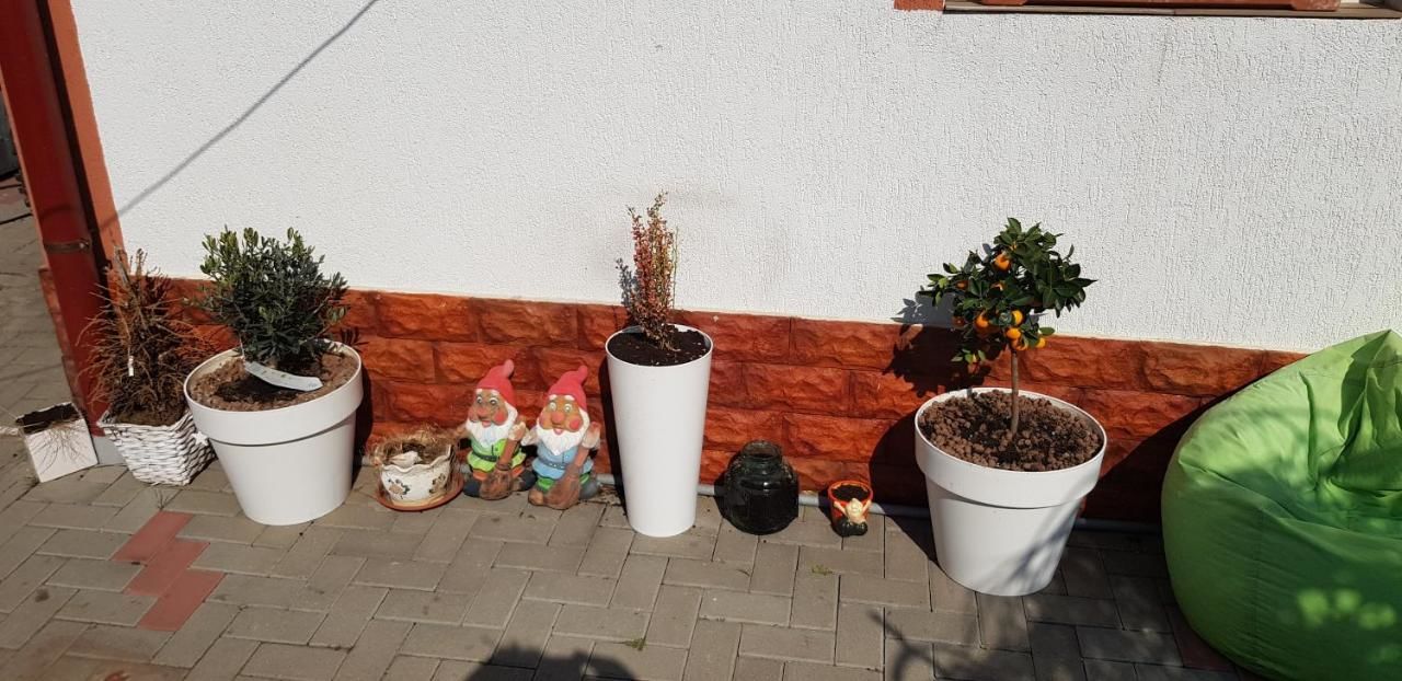 Гостевой дом Atia Residence Сибиу