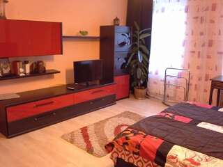 Гостевой дом Atia Residence Сибиу Стандартный двухместный номер с 1 кроватью и общей ванной комнатой-19